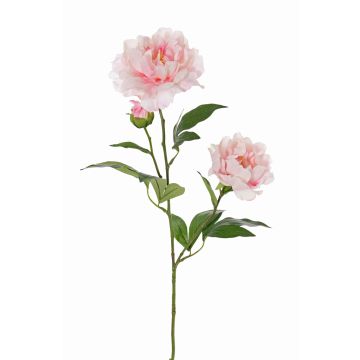 Textilní květina pivoňka ONYX, krémově růžová, 70cm, Ø10-13cm