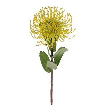 Umělá Protea BAILY, žlutá, 50cm, Ø12cm