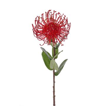 Umělá Protea BAILY, červená, 50cm, Ø12cm