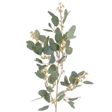 Umělá větev eukalyptu COBAR s květinami, crossdoor, zelená, 65cm