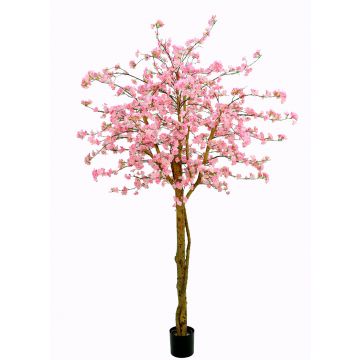 Umělá japonská kvetoucí třešeň TIFFY, skutečné stonky, květy, růžová, 240cm