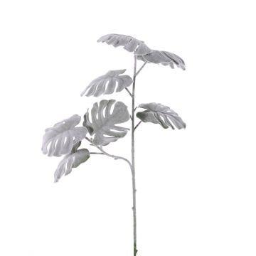 Umělá větev filodendron monstera deliciosa NUBIE, zmrzlá, šedá, 70cm