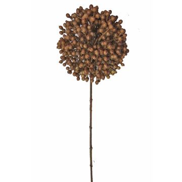 Okrasná cibule ze sušených květin BOCELLI, hnědá, 70cm, Ø14cm