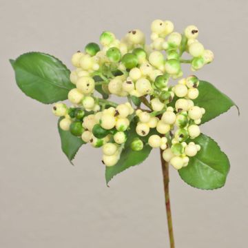 Umělá větvička černého bezu HELMA s bobulemi, krémově zelená, 30cm