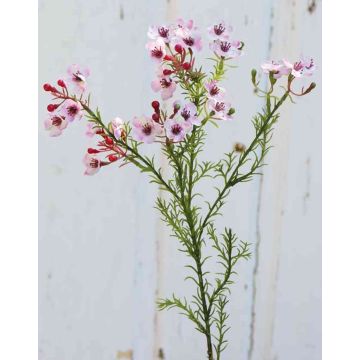 Umělecký voskový květ AISHA, růžový, 65cm