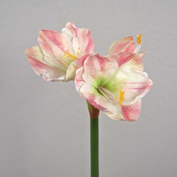 Umělá amarylis YOLANTE, růžovo-bílá, 70cm, Ø23cm