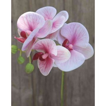 Umělá větvička orchideje phalaenopsis OPHELIA, růžová, 40cm