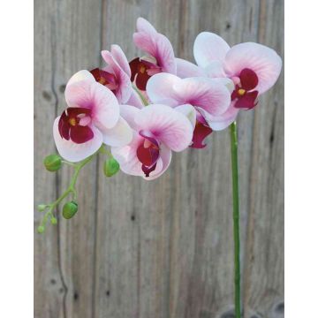 Umělá orchidej Phalaenopsis OPHELIA, růžová, 80cm