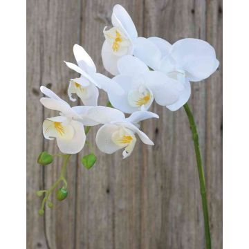 Umělá větvička orchideje Phalaenopsis OPHELIA, bílá, 80cm