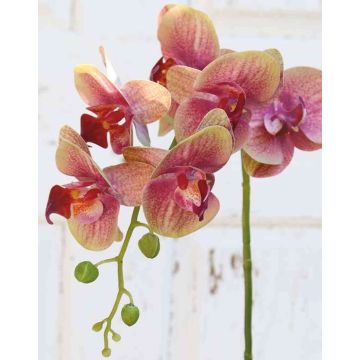 Umělá větvička orchideje Phalaenopsis OPHELIA, růžovo-zelená, 80cm