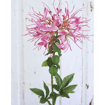 Art spider květina HILDEGARD, růžová, 85cm