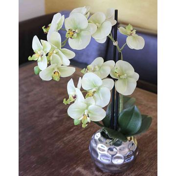 Umělá orchidej Phalaenopsis EMILIA, květináč, krémově zelená, 45cm