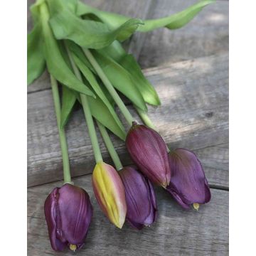 Umělá kytice tulipánů LONA, fialovo-zelená, 35cm, Ø15cm
