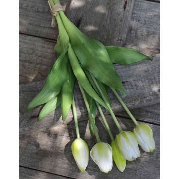 Umělá kytice tulipánů LONA, bílo-zelená, 35cm, Ø15cm