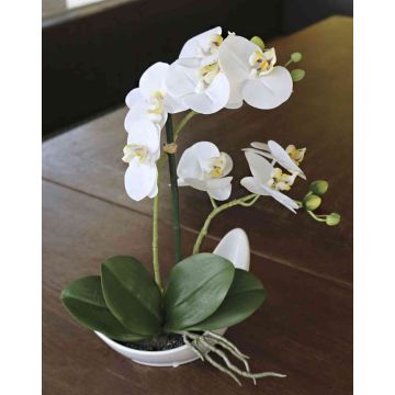 Dekorační orchidej Phalaenopsis ZARMINAH v keramické misce, bílá, 35cm