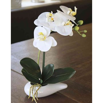 Dekorační orchidej Phalaenopsis ZARMINAH v keramickém květináči, bílá, 30cm