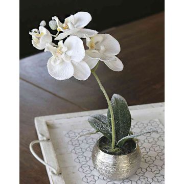 Umělá orchidej Phalaenopsis KAREN, dekorativní květináč, mražená, bílá, 35cm