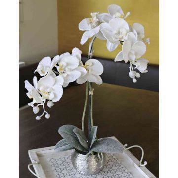 Umělá orchidej Phalaenopsis KAREN, dekorativní květináč, mražená, bílá, 50cm