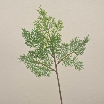 Dekorativní cedrová větev BALTHILDE, zelená, 40cm