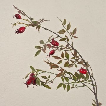 Umělá větev psí růže VARDALIA se šípky, červená, 95cm