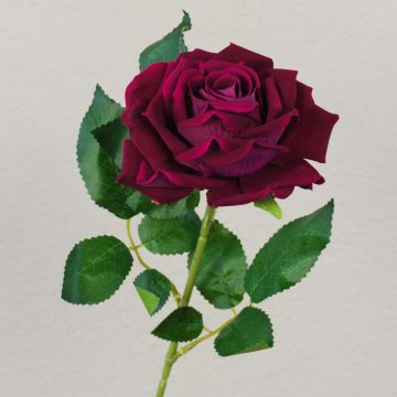 Sametová růže MANGFALL, růžová, 75cm, Ø13cm