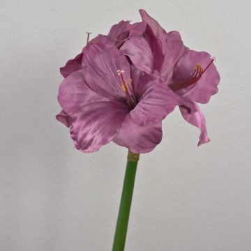MARANON amarylis umělá květina, fialová, 70cm