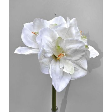 Dekorativní amarylis MARKUNO, krémově bílý, 60cm