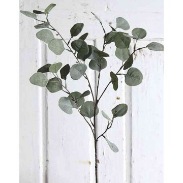 Umělá větev eukalyptus AMADEUS, zelená, 75 cm