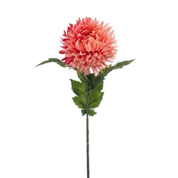 Umělá chryzantéma SAXLER, korálová, 55cm