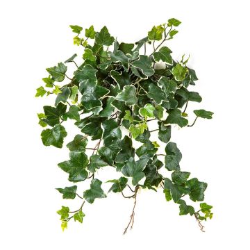 Umělá břečťanová liána LINNEO na tyči, křížová dvířka, zeleno-bílá, 50cm