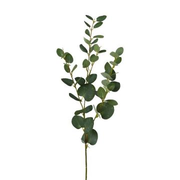 Dekorativní větvička eukalyptu JINVAL, zelená, 80cm