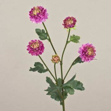 Umělá chryzantéma RYON, fialová, 70cm, Ø3-5cm