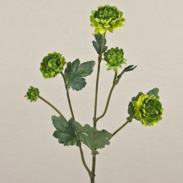 Umělá chryzantéma RYON, zelená, 70cm, Ø3-5cm
