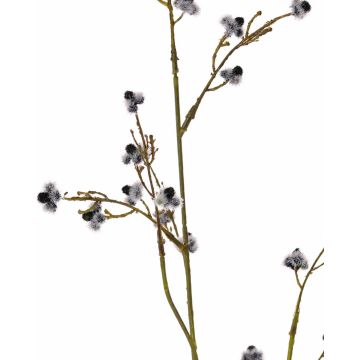 Umělá Stirlingia latifolia COLLAN, černobílá, 85cm