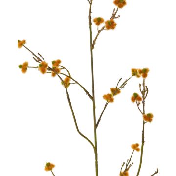 Umělá Stirlingia latifolia COLLAN, oranžová, 85cm