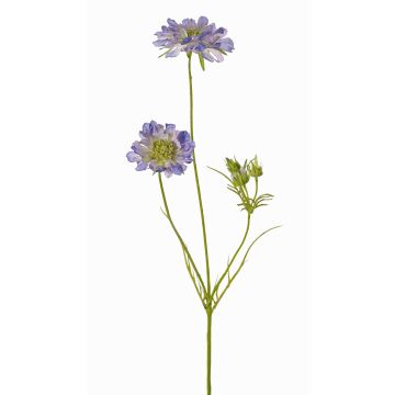 Umělá hlaváč fialový ANDIA, modrofialová, 80cm, Ø8-10cm