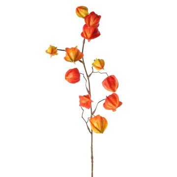 Umělá větev physalis PERSEI s plody, oranžová, 80 cm