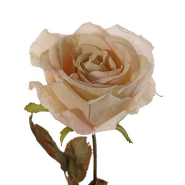 Umělá růže NAJMA, krémová, 65cm, Ø11cm