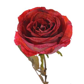 Umělá růže NAJMA, červená, 65cm, Ø11cm