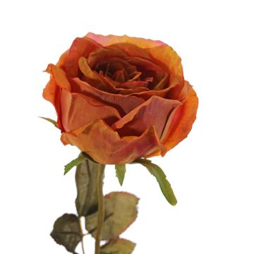 Umělá růže NAJMA, oranžová, 65cm, Ø11cm