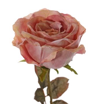 Umělá růže NAJMA, starorůžová, 65cm, Ø11cm