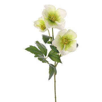 Umělá vánoční růže AKRAB, zelenobílá, 45cm, Ø5-8cm