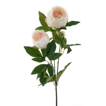 THEMIA dekorativní větev pivoňky, krémově růžová, 65cm