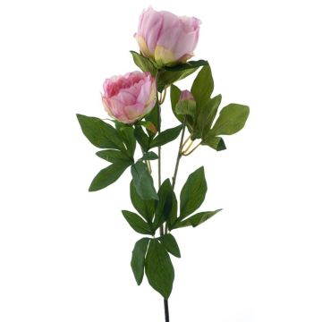 Dekorativní větev pivoňky THEMIA, růžová, 65cm