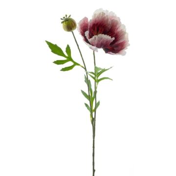 Dekorativní mák EDESSA, růžovo-bílý, 80cm
