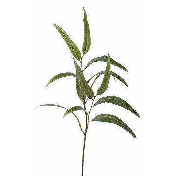 Umělá eukalyptová větev SEMA, zelená, 70 cm