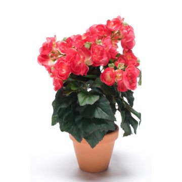 Umělá begonie CATINKA v terakotovém květináči, růžová, 30cm