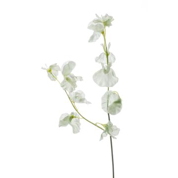 Umělá květina hrachor VICENZO, zeleno-bílá, 50cm