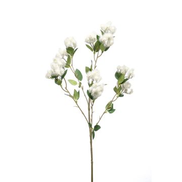 Umělá topolová CALP větev s květinami, krémová, 65cm