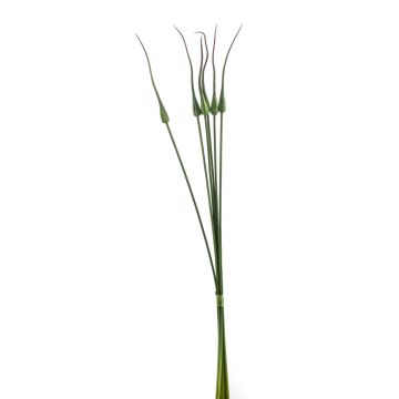 Umělý svazek květu allium PETRER, zelený, 85cm